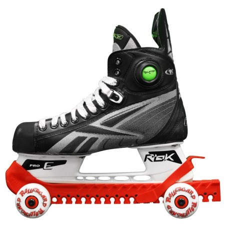 22 hockey-roller-gards.jpg